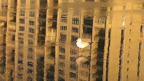 2014-04-092bdawnflier2bimag0941