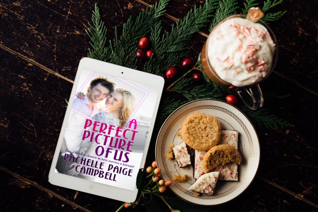 Holiday Cover Perfect Picture